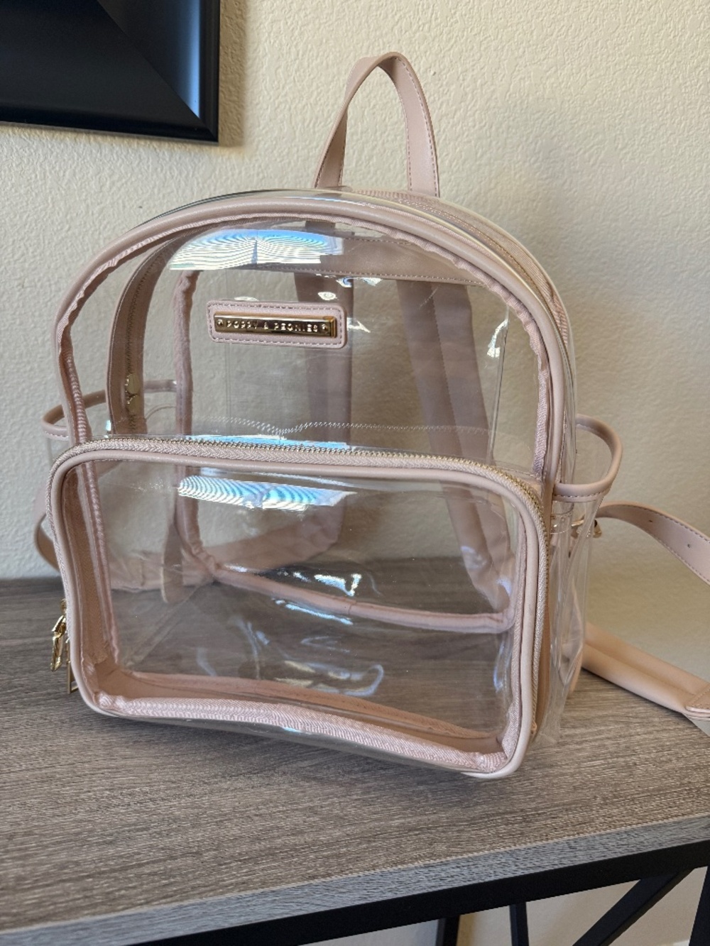 Poppy & Peonies clear backpack with pink trim